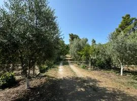 Vlora Three Houses