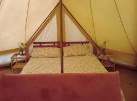 Glamping C Selva Tenda Quercia
