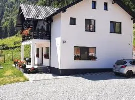Casa Mihali Colibița