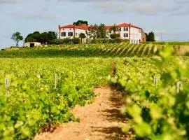 Château au milieu du vignoble avec piscine à 10 mn des plages