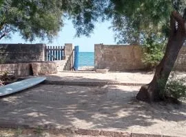 Nadina