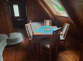 Apartament pod Dębem II