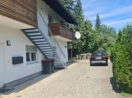Gemütliche Wohnung in St Georgen nähe Attersee