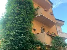 Yerevan's Heart