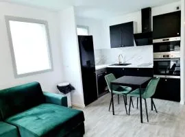 La Belle Emeraude-Appart cosy proche Paris avec parking