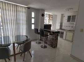 Apartaestudios piedra pintada