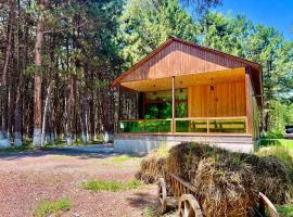 Milenium magic villas on Sevan beach, vila v destinaci Sevan