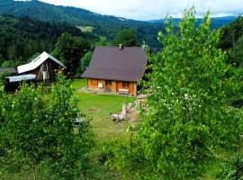 Alpejski Azyl Wisła