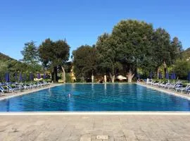 Sant'Anna Del Volterraio - Papaveri 7