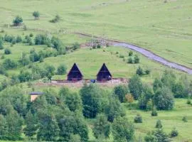 Gagma chalets