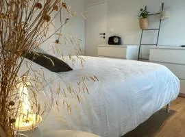 Maison sur Mer Oostduinkerke