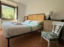 Cinque Terre - House & Garden Paradise