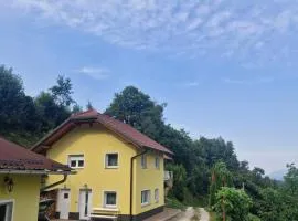 Yellow house Javornik