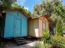 Social Camping JAL