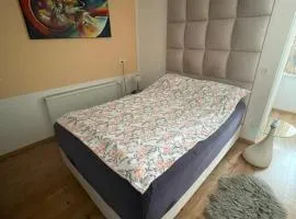 Sobe Stremljan Ljubljana