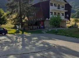Pensiunea Costesti