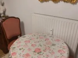 Einzimmerwohnung am Jakomini