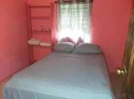 The Cherry Blossom House