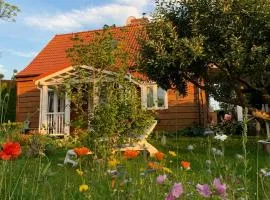 Storchenwiese Wald Meer Natur