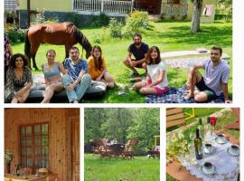 Guest house Lailashi, külalistemaja sihtkohas Surmushi