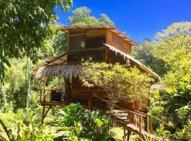 A Treehouse the Green Frog Romantic setting & Pool