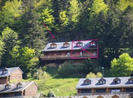 Chalet montagne Pyrénées, hotel in Ustou