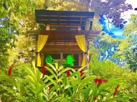 Gecko Treehouse with Jungle View, Plunge Pool & WiFi