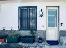 Blue House