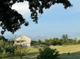 Sweet house