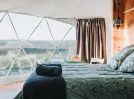 Buttercup Dome