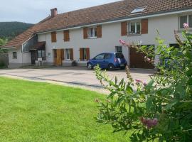 Gîte paisible avec terrasse et WIFI, proche de Gérardmer - 2 chambres, animaux acceptés - FR-1-589-216, hotel in Liézey