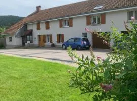Gîte paisible avec terrasse et WIFI, proche de Gérardmer - 2 chambres, animaux acceptés - FR-1-589-216