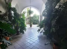 La casa delle Camelie