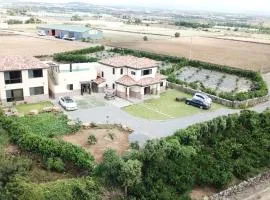 Jeju Paradise House