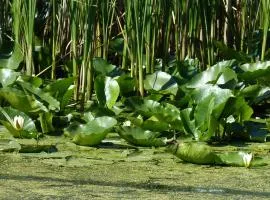 RV Danube Delta trip