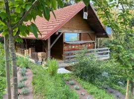 The BeeHouse, Nature stay
