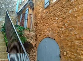 Grande maison en pierre au coeur du village provençal du XIe siecle 10 personnes