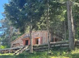 Chalet dans la verdure - Les Chapeliers