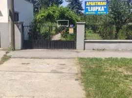 Apartment Ljupka