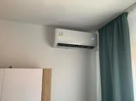 Cazare Medias, apartament modern