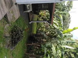 Studio dans la forêt tropicale