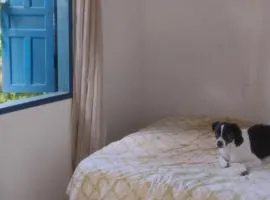 Casa Rústica Pet