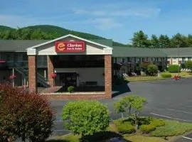 Clarion Inn & Suites at the Outlets of Lake George
