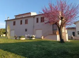 Il Colle affittacamere