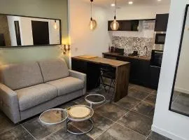 "Le duo" studio cosy au cœur d'Epernay