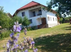 CASA LAVINIA CRASNA GORJ