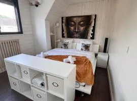 Maison au calme avec jardin proche Paris