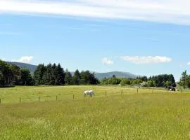 The Wee Cabin - Uk5856