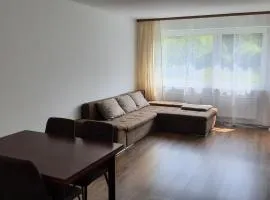 Ferienwohnung Seeblick mit Balkon - Mein Schwarzwaldhäusle