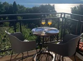 Vinogradi